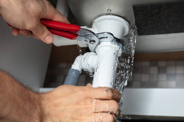 Best Flood damage cleanup  in , ID