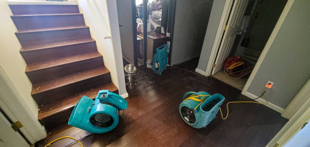 Best 24-hour water damage restoration  in , ID