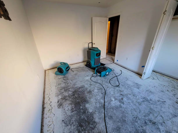Best Residential water damage restoration  in , ID