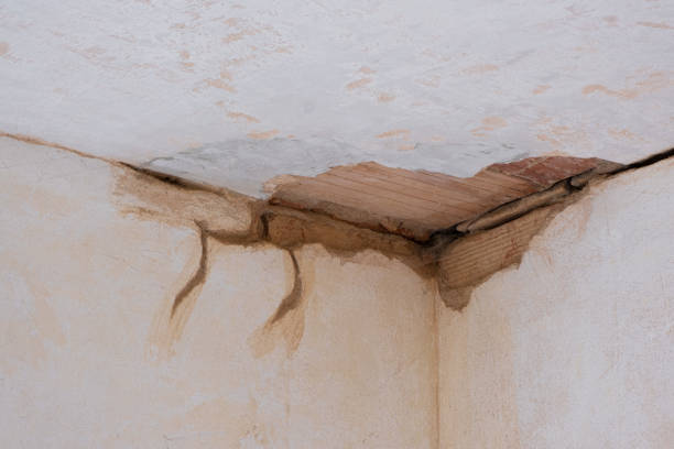Best Commercial water damage restoration  in , ID
