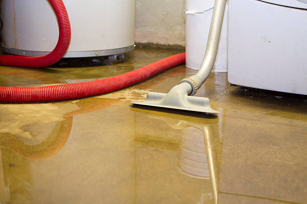 Best 24/7 water damage repair  in , ID