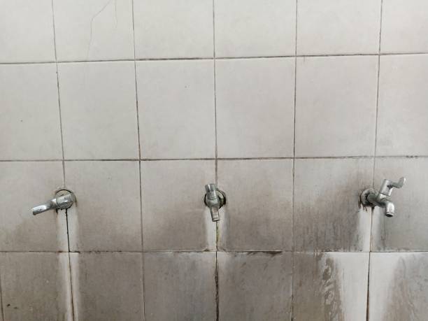Best Water damage contractors near me  in , ID
