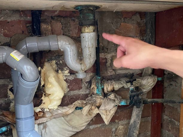 Best Carpet water damage restoration  in , ID