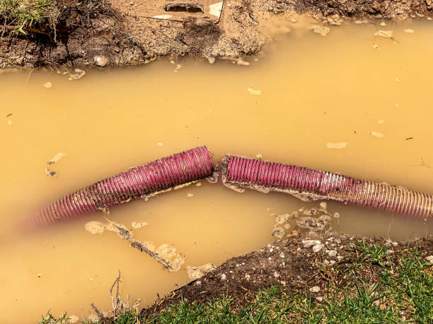 Best Local water damage restoration  in , ID
